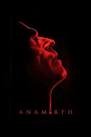 Anamorph (2008)