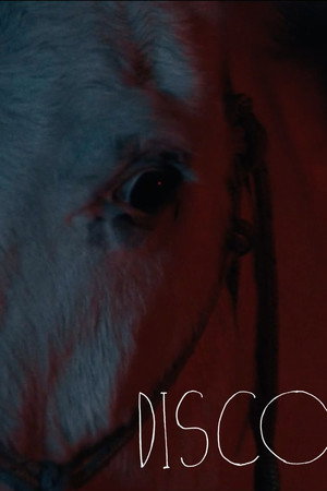 Disco (2025)