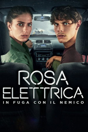 Rosa Elettrica (2026)