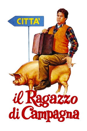 The Country Boy (1984)