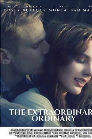 The Extraordinary Ordinary (2019)
