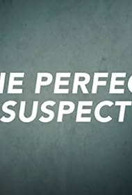 The Perfect Suspect (2017)